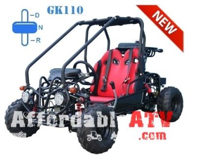 Gas Go Karts For Sale